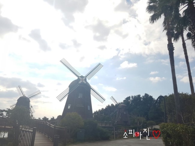 제주도여행<b>먹방</b>일지 애월맛집투어 디저트핫플레이스 (feat... 