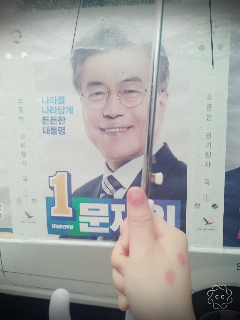 소심투표 말고 소신투표. 문재인 VS 심상정