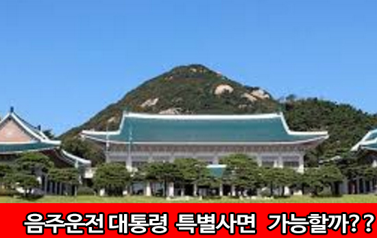  음주운전 대통령  특별사면  가능할까??