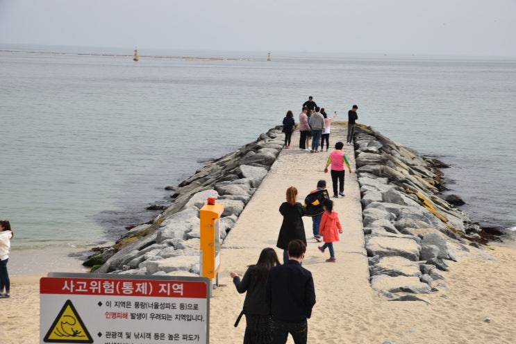  #4 강릉시티투어 경포해변 강릉여행 강릉게스트하우스