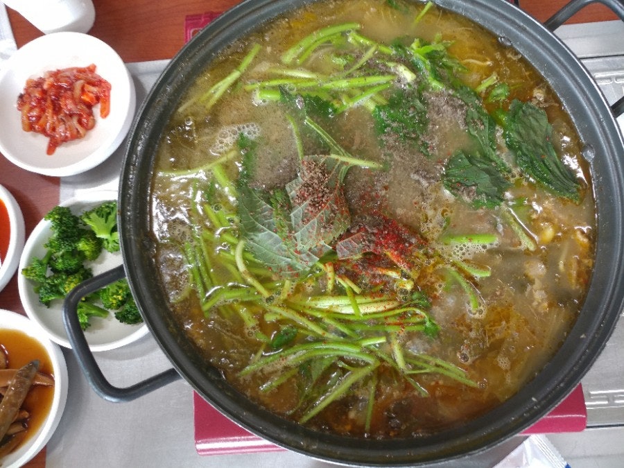 녹산원 사진 5