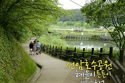 안아죠 이미지