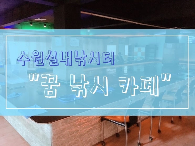  [수원실내낚시터] 꿈낚시카페 아주대점 꿀잼!!