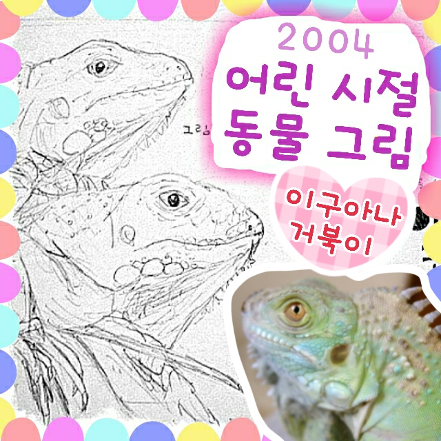  이구아나 붉은귀거북 참개구리 - 어릴 적 관찰 스케치
