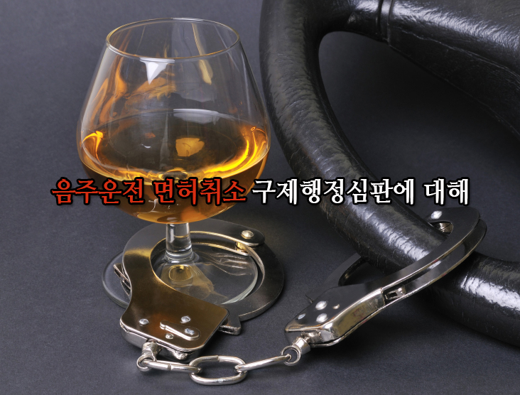  음주운전 면허취소 구제는 행정심판으로