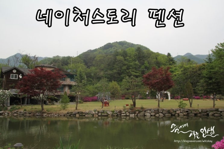  [애견 동반 펜션] 서울 근교 가평애견펜션 네이처스토리