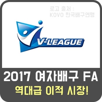 [여자배구] 박정아 도공, 김해란 흥국. 역대급 이적 시장이 된 2017 여자부 FA