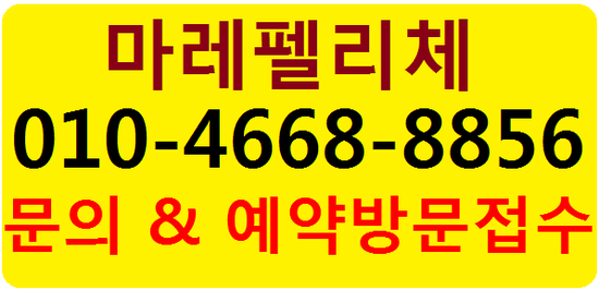  놀라운 대부도 마레펠리체 전원주택 분양