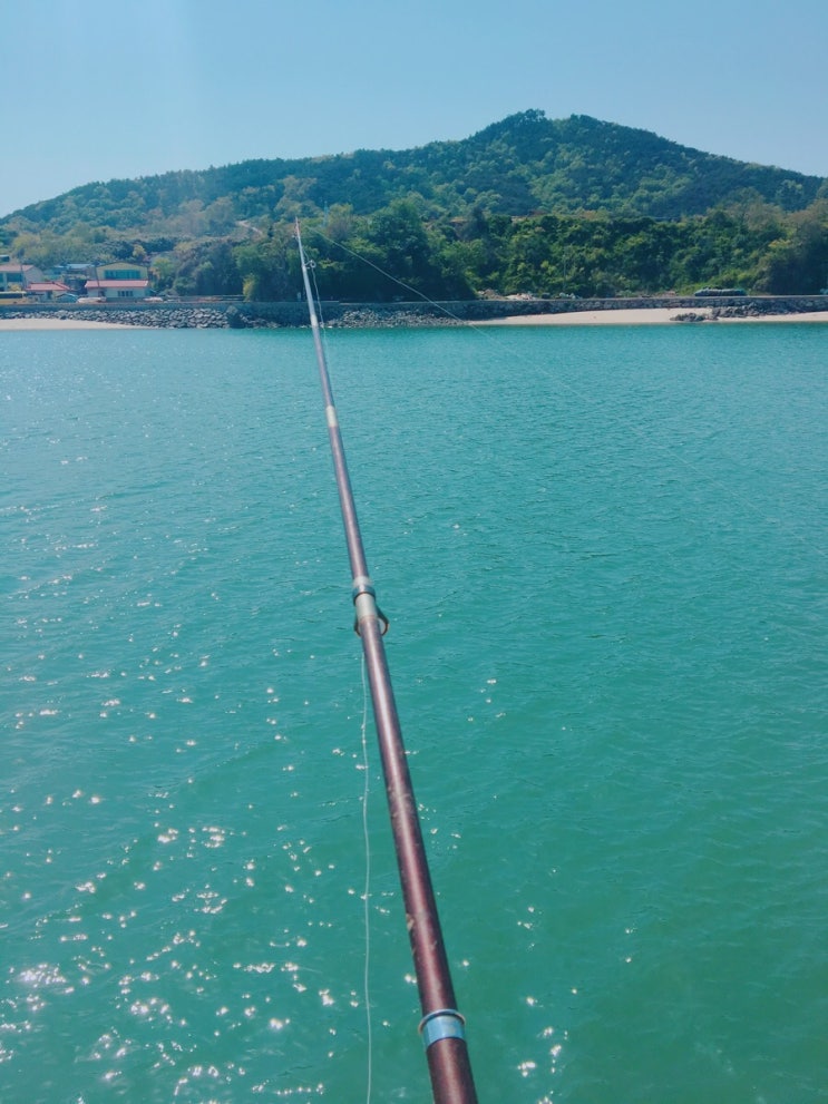  서해 섬 덕적도 낚시