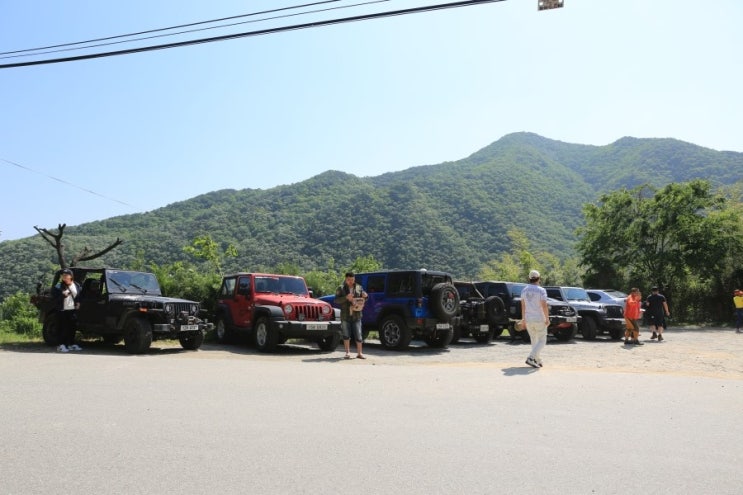옥천군 뿌리깊은나무 .. 