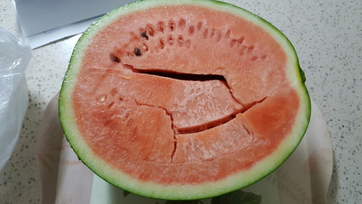  (통통과일) 맛난 수박 당첨