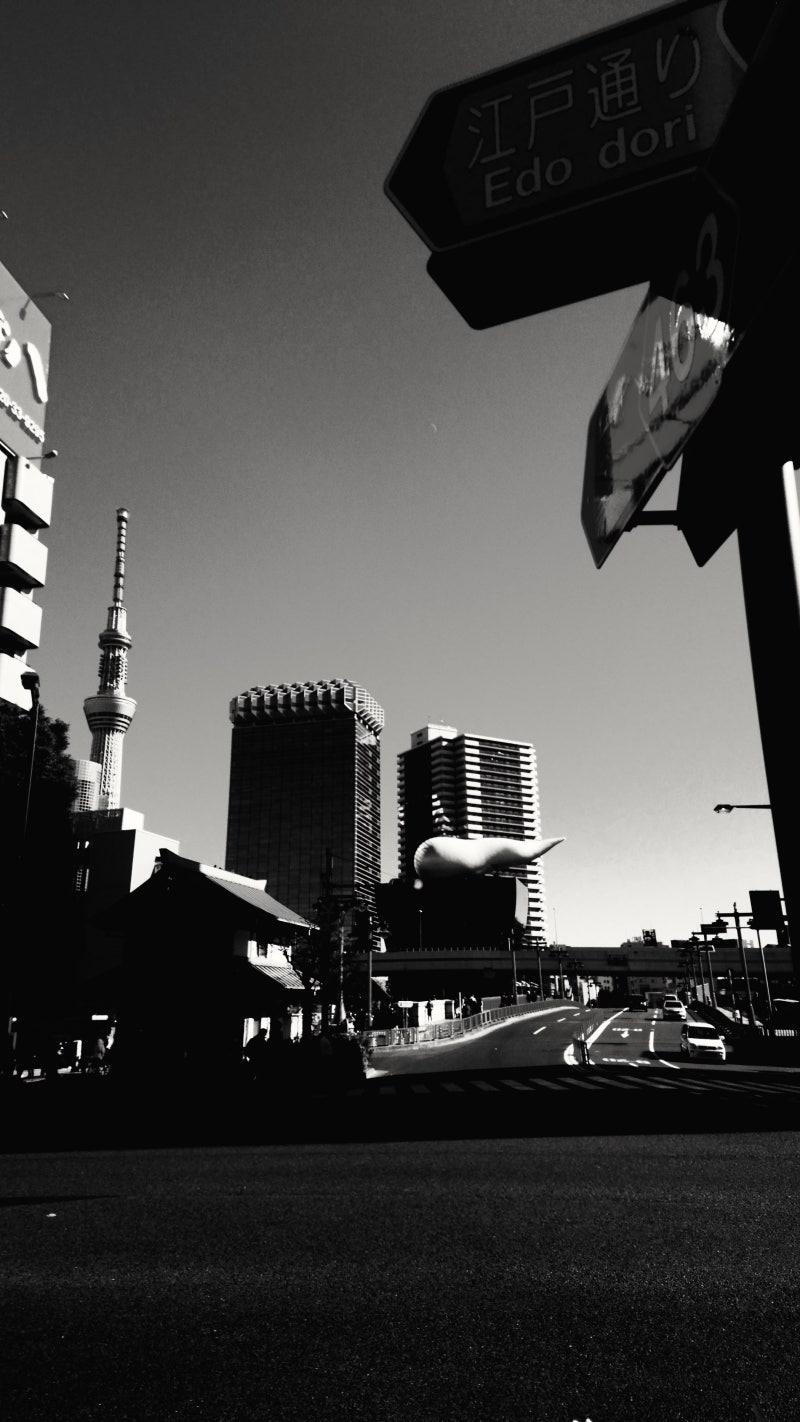 17 05 19 도쿄로부터 Dragon Ash Grateful Days 네이버 블로그