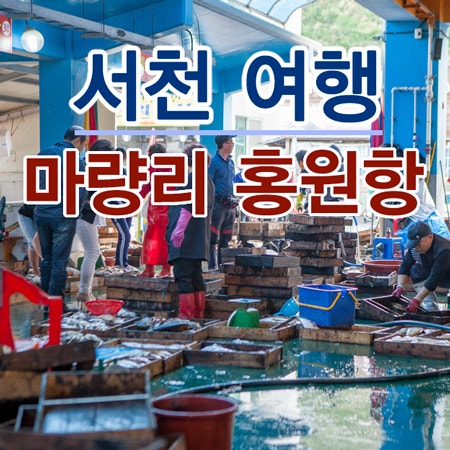 서천 홍원항 수산물 시장 해산물 가격이 저렴하네요~
