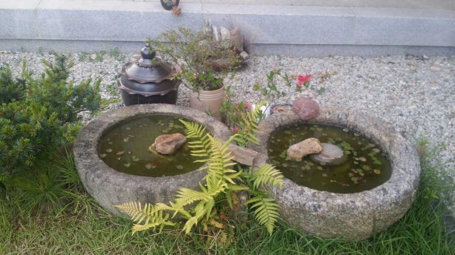 달빛줍기 사진 5