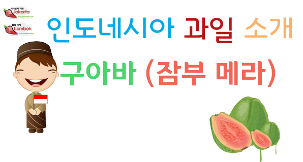  롬복 신혼여행 잠부메라(구아바)