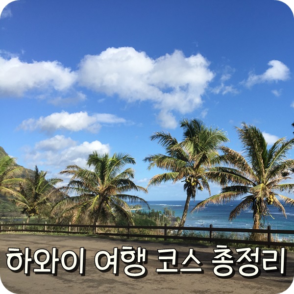  하와이 자유여행, 신혼여행 일정 총정리