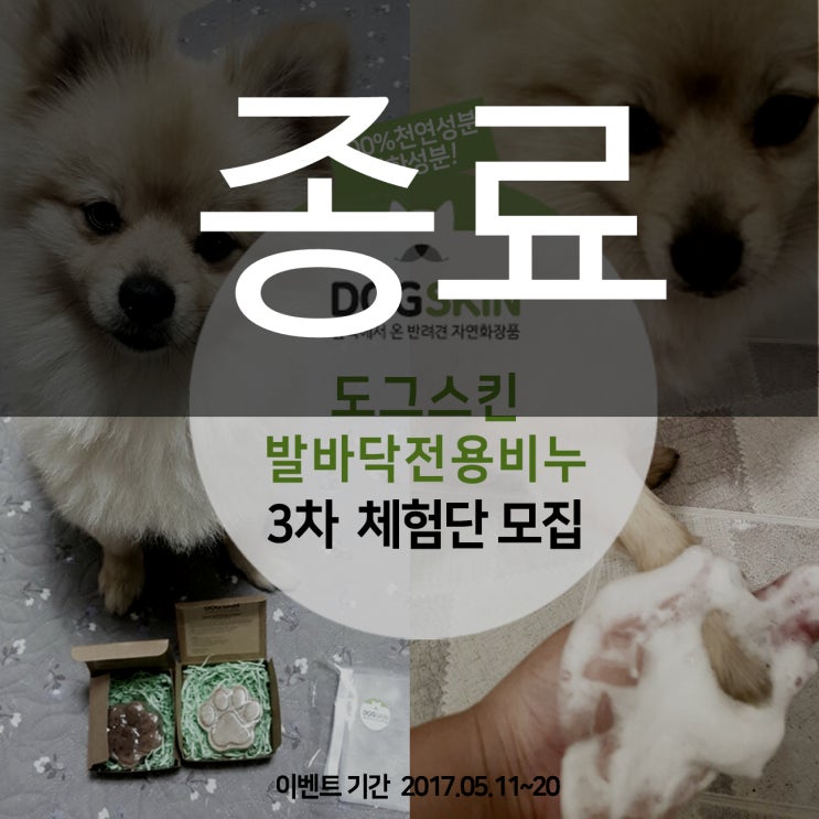  강아지 습진에 좋은 도그스킨 발바닥전용비누 무료체험 모집 :)