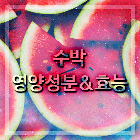  수박 영양성분 효능 그리고 부작용