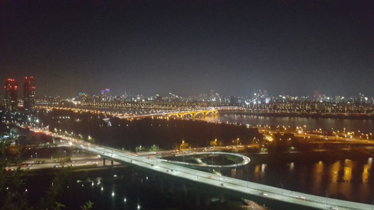  응봉산에서 바라본 서울 야경
