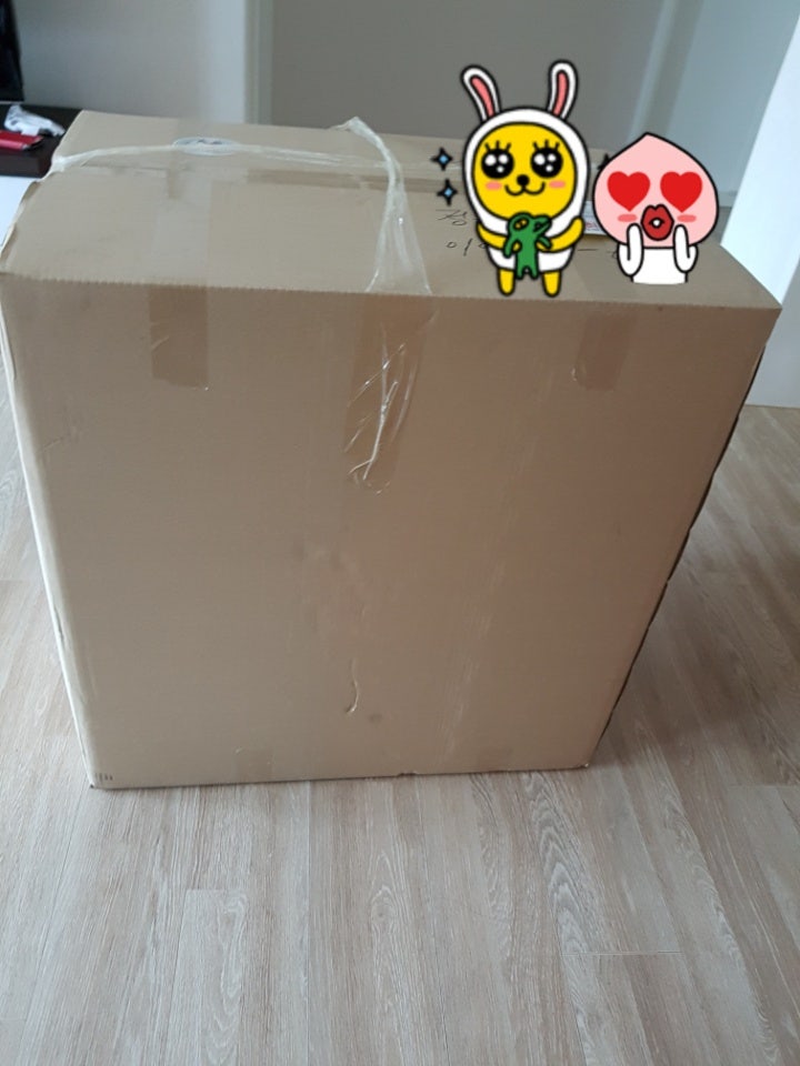 애기 아크릴새장 적응완료♡