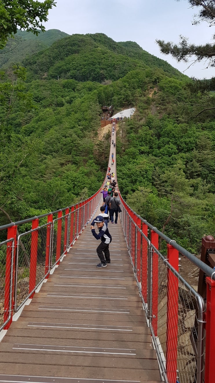  감악산 출렁다리 꼭 한번 가보시길!!!!