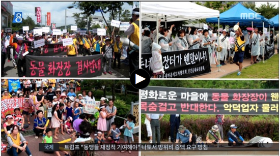 장례 치러야 하는데…'동물화장장' 지을 곳이 없다 - MBCNEWS(곰바이) 장례 치러야 하는데…'동물화장장' 지을 곳이 없다 - MBCNEWS(곰바이)