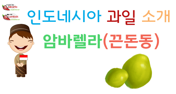  롬복 신혼여행 열대과일 암바렐라(끈돈동)