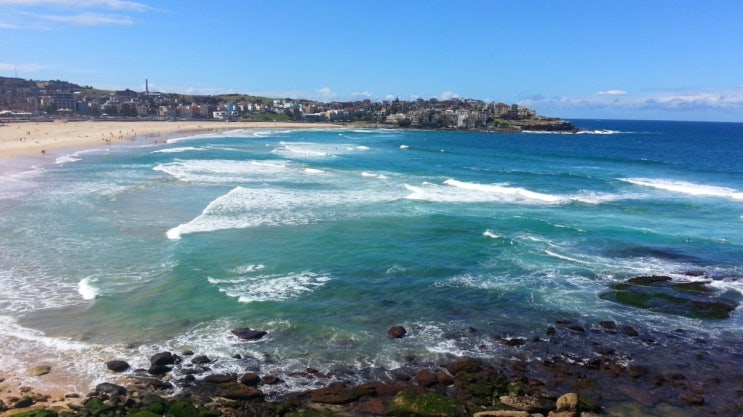  [호주] 시드니/본다이 비치(Bondi Beach) : 본다이 비치 가는 법, 힐링타임~