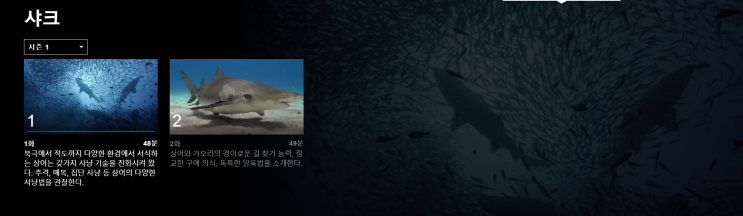  다큐] 샤크