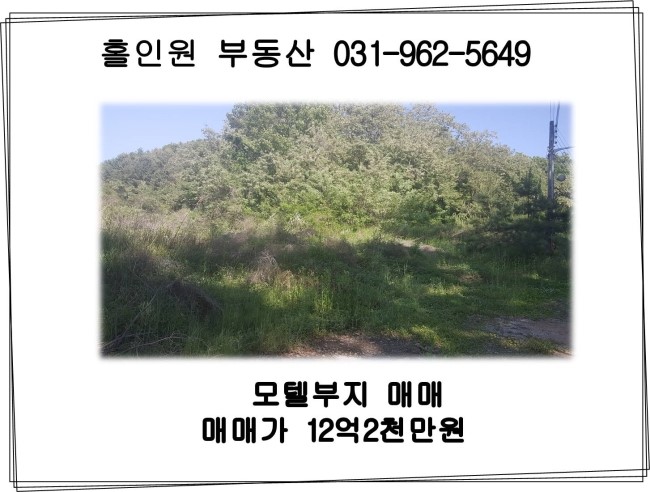  파주시 탄현면 모텔부지 매매 (610평)