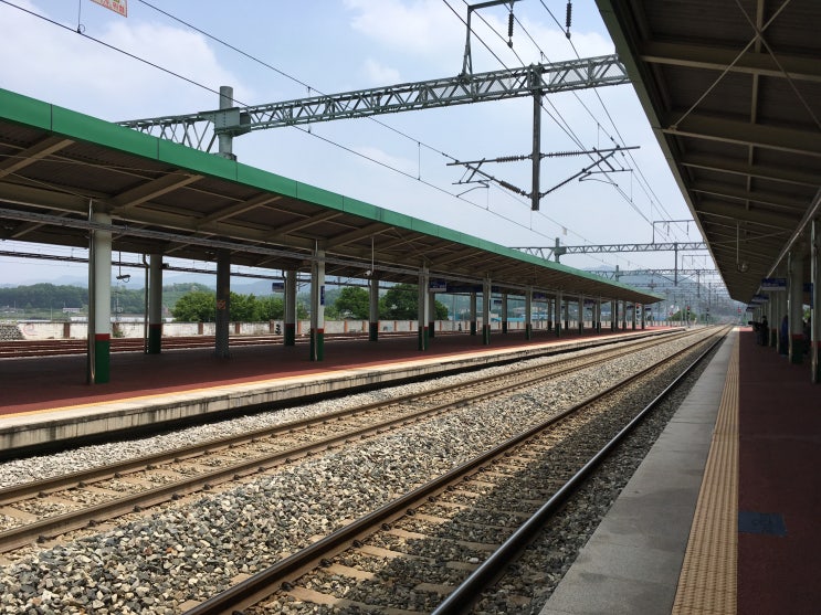 2017 경상북도 간호직,보건진료직,보건직,방역직,환경직공무원 시험장소 공고