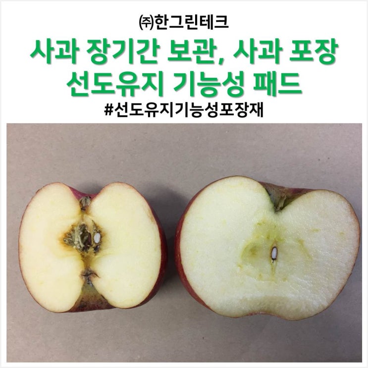  사과 장기간 보관, 사과 포장, 선도유지 기능성 패드, 신선도유지 포장재
