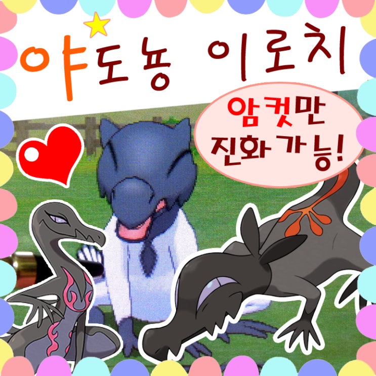  포켓몬 야도뇽 진화 염뉴트 이로치 - 모티브, 암컷만 진화!