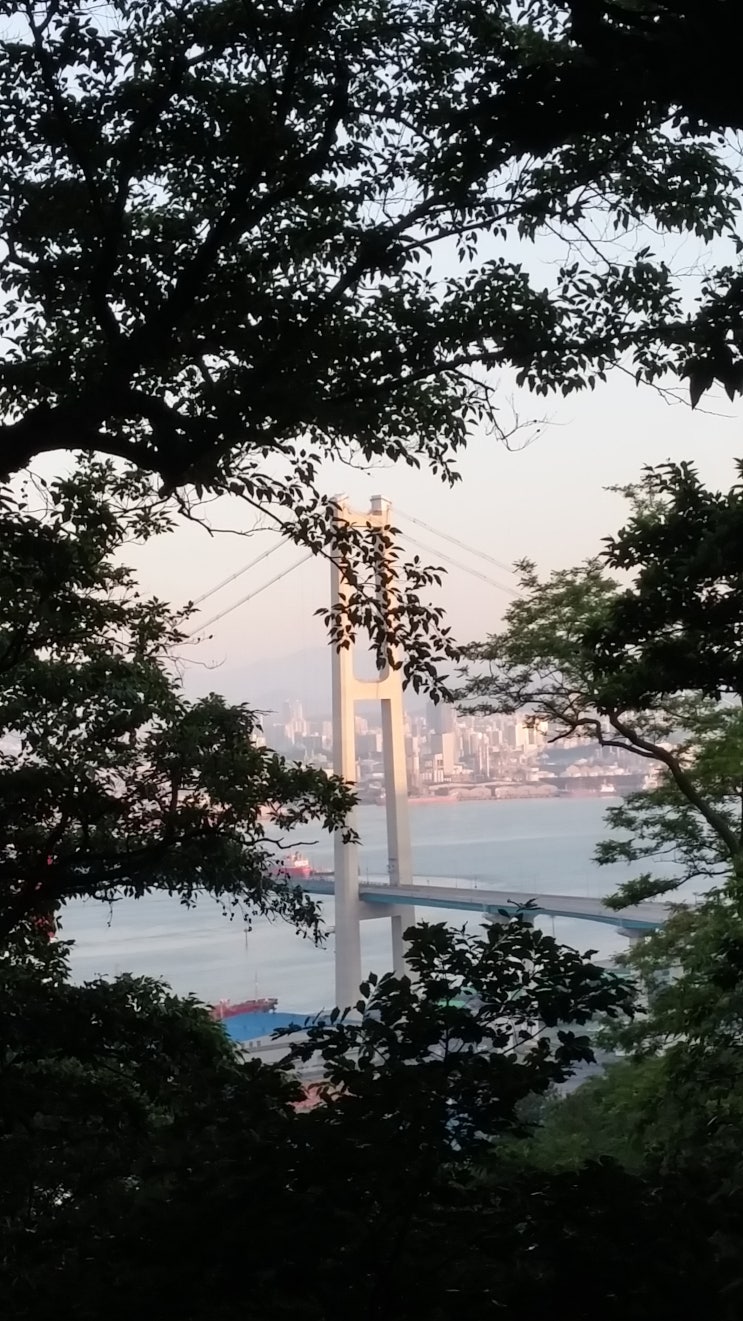 길 길 길, 염포산 등반기 염포산 가는 길, 다녀온 길 길 길 길, 염포산 등반기 염포산 가는 길, 다녀온 길