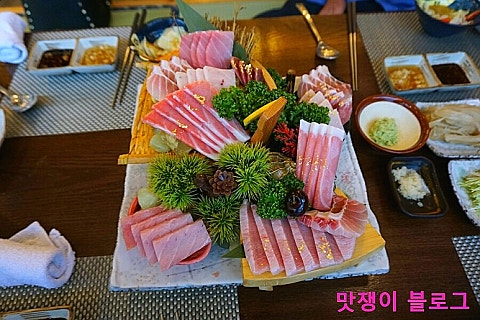 아오이참치 이미지