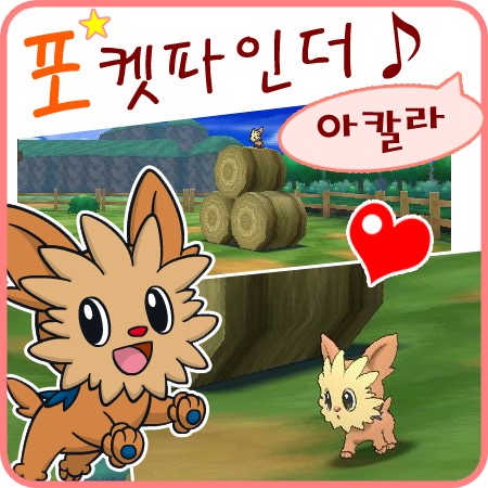  포켓몬스터 썬문 포켓파인더 파인더 아칼라 섬