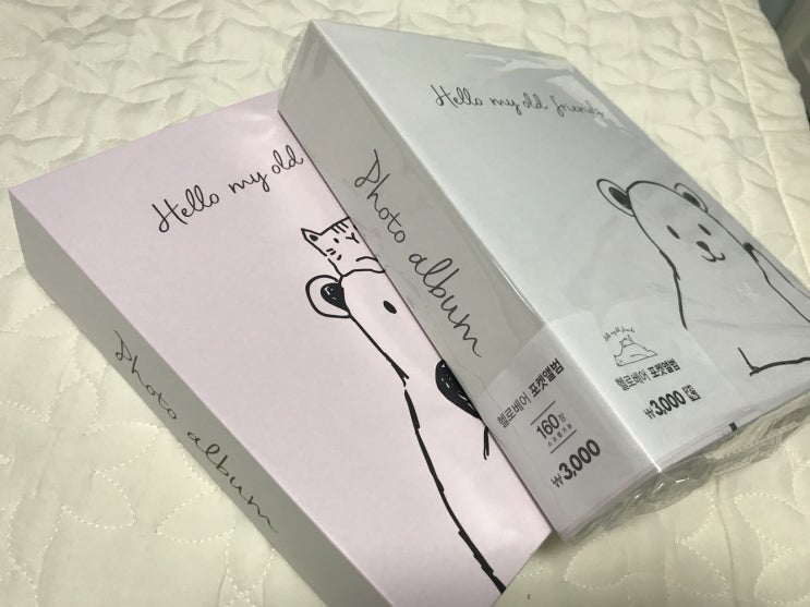  다이소 헬로베어 포켓앨범으로 사진정리