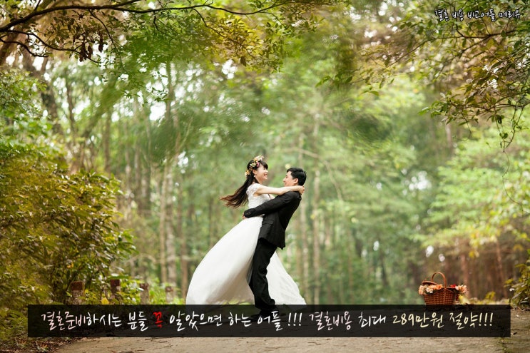  결혼준비 필수 어플[메리유]웨징견적비교 스드메패키지 비용절약 팁!