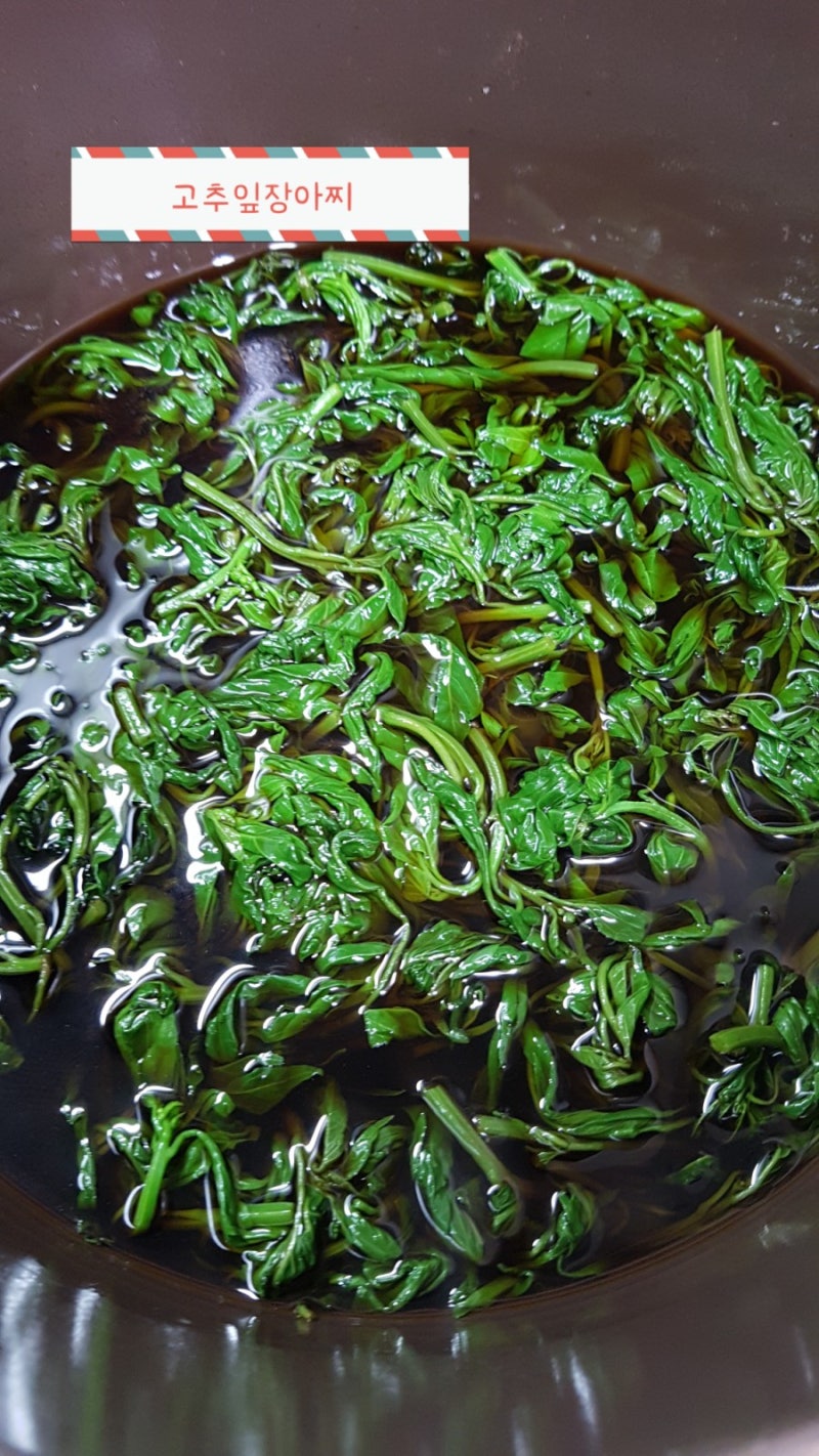 고추잎장아찌 아욱장아찌 시금치장아찌 담기 : 네이버 블로그