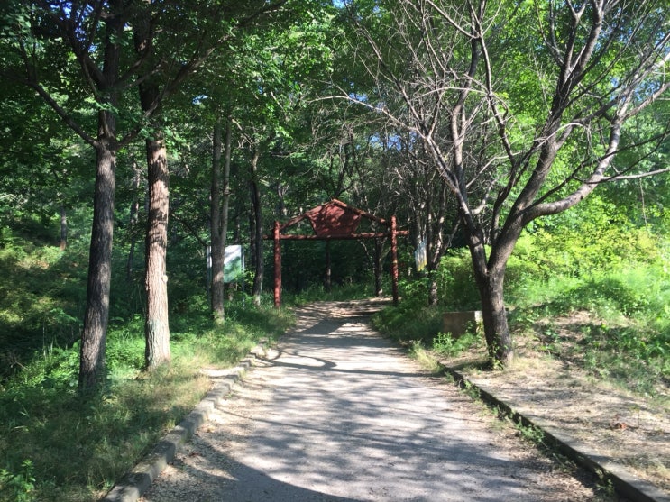 주말 아침등산의 상쾌함에 반하다