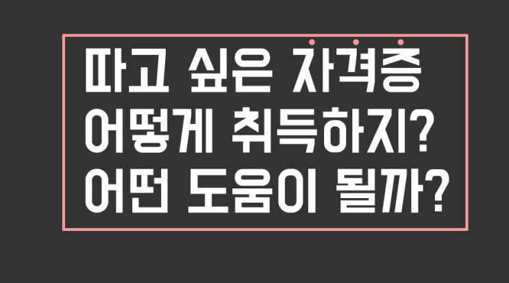  따고 싶은 자격증 있나요?