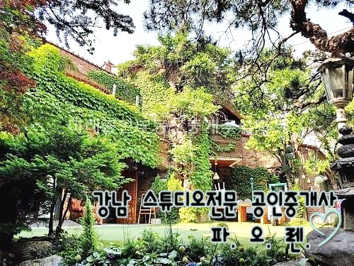  강남 단독주택 스튜디오사무실 임대 - 대지 150평, 정원100평, 내부3개층, 무권리, 주변 유료주차장, A급 인테리어, 협의 입주, 밝은채광, 초역세권