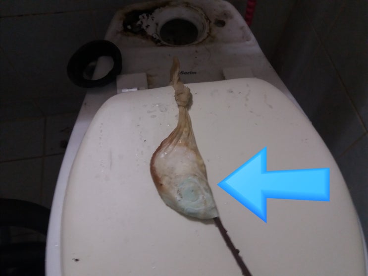  구미변기막힘 막힌것도 안막힌것도 아닌 이상한 경우인 구미진평동변기 해결