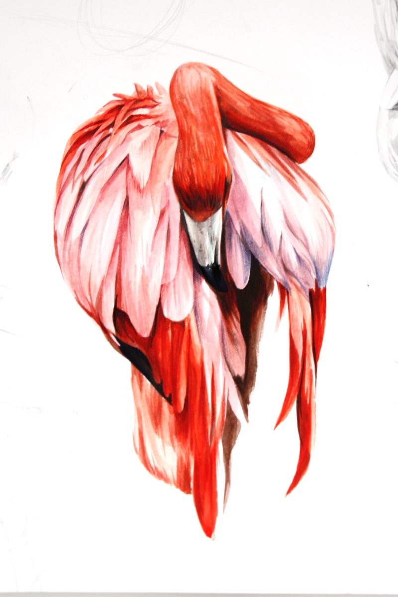 새 그리기 : 플라밍고 큰부리새 독수리 앵무새 그림 그리는 방법 : 네이버 블로그, image size:800x1200