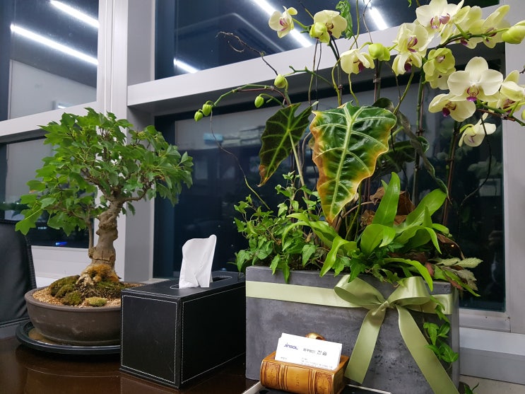  상속포기의 모든 것, 한 눈에 알아보기!