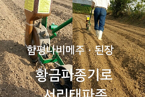메주정보통신 이미지