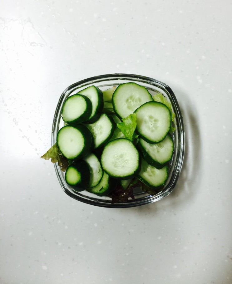 상추다이어트 9일차