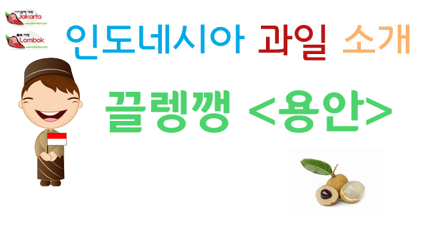  롬복 신혼여행 열대과일 끌렝껭 (용안)