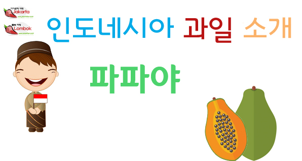  롬복 신혼여행 열대과일 파파야