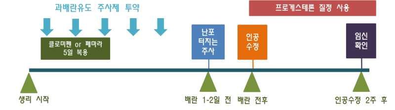 [1] 인공수정임신준비과정+배란유도제크로미펜 부작용 (다낭포성난소증후군도 임신가능?)